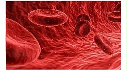 科普知识分享第一弹：血管里流淌的细胞